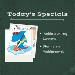 paddlesurfingspecials