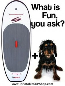 Surftech Gull SUP with Wet Dog